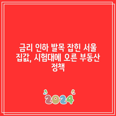 금리 인하 발목 잡힌 서울 집값, 시험대에 오른 부동산 정책