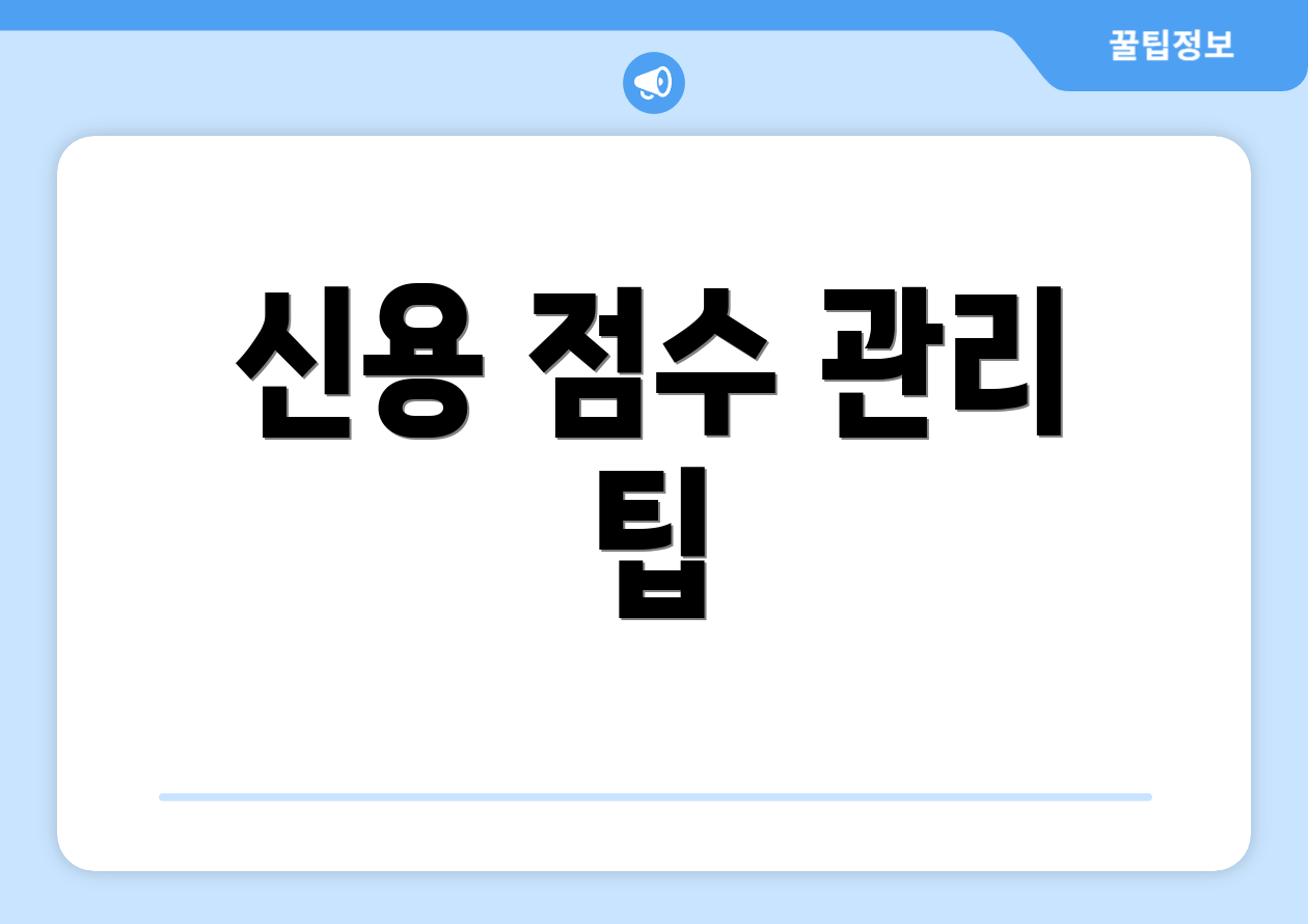 신용 점수 관리 팁