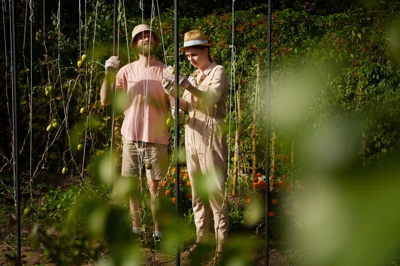 가족관계등록부 발급법