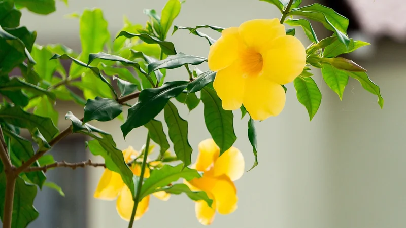 명예훼손 고소 조건