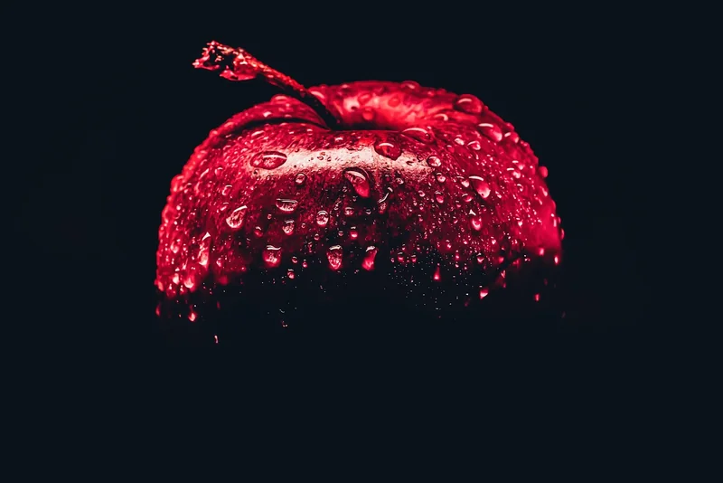 법인설립 비용 총정리