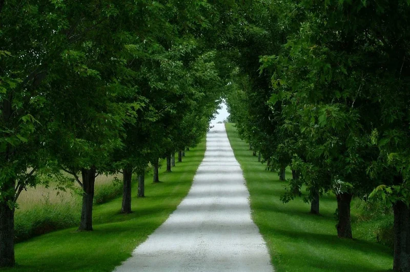 사업자등록 해지 방법