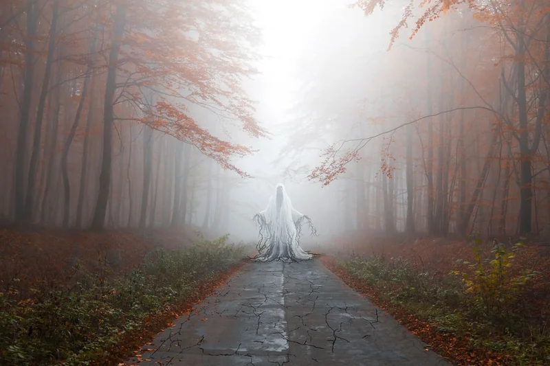 세금 환급 조회 방법