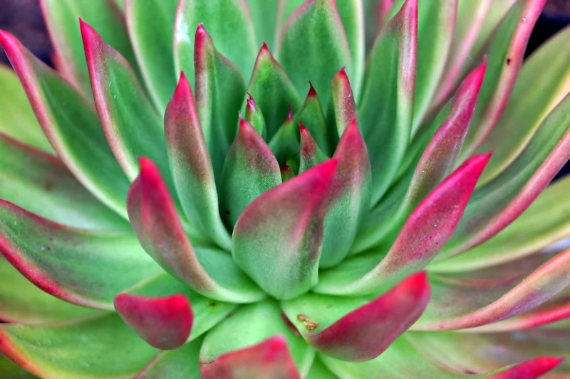 양도세 절세 팁