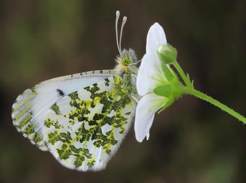 양도세 절세 팁