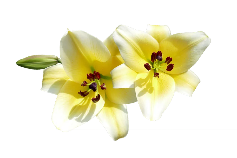 이혼합의서 작성요령