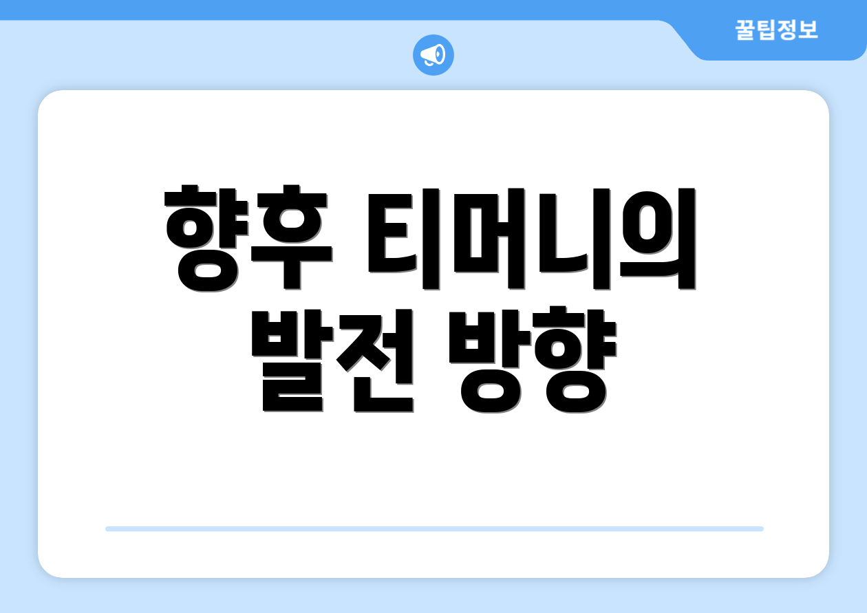 향후 티머니의 발전 방향